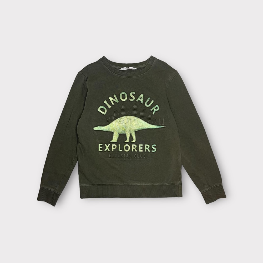 H&M Crewneck Textured Dinosaur Explorers Green Sweater